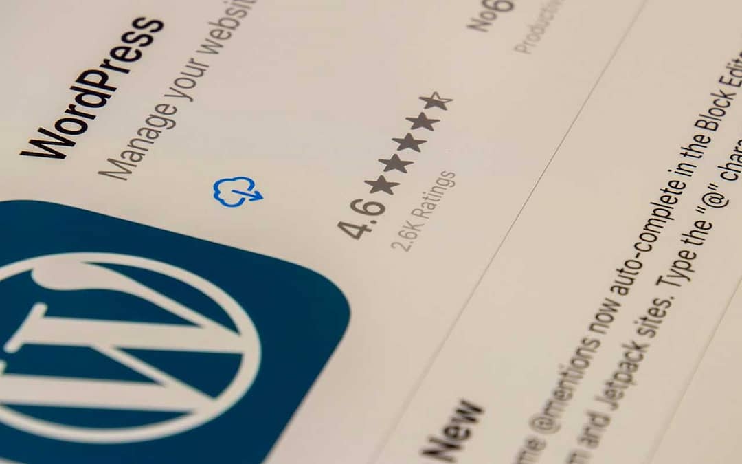 Maximize Your Business Potential With WordPress Web Development In Qatar 