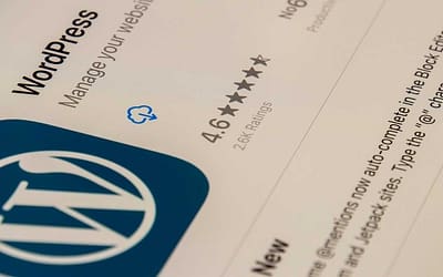 Maximize Your Business Potential With WordPress Web Development In Qatar 