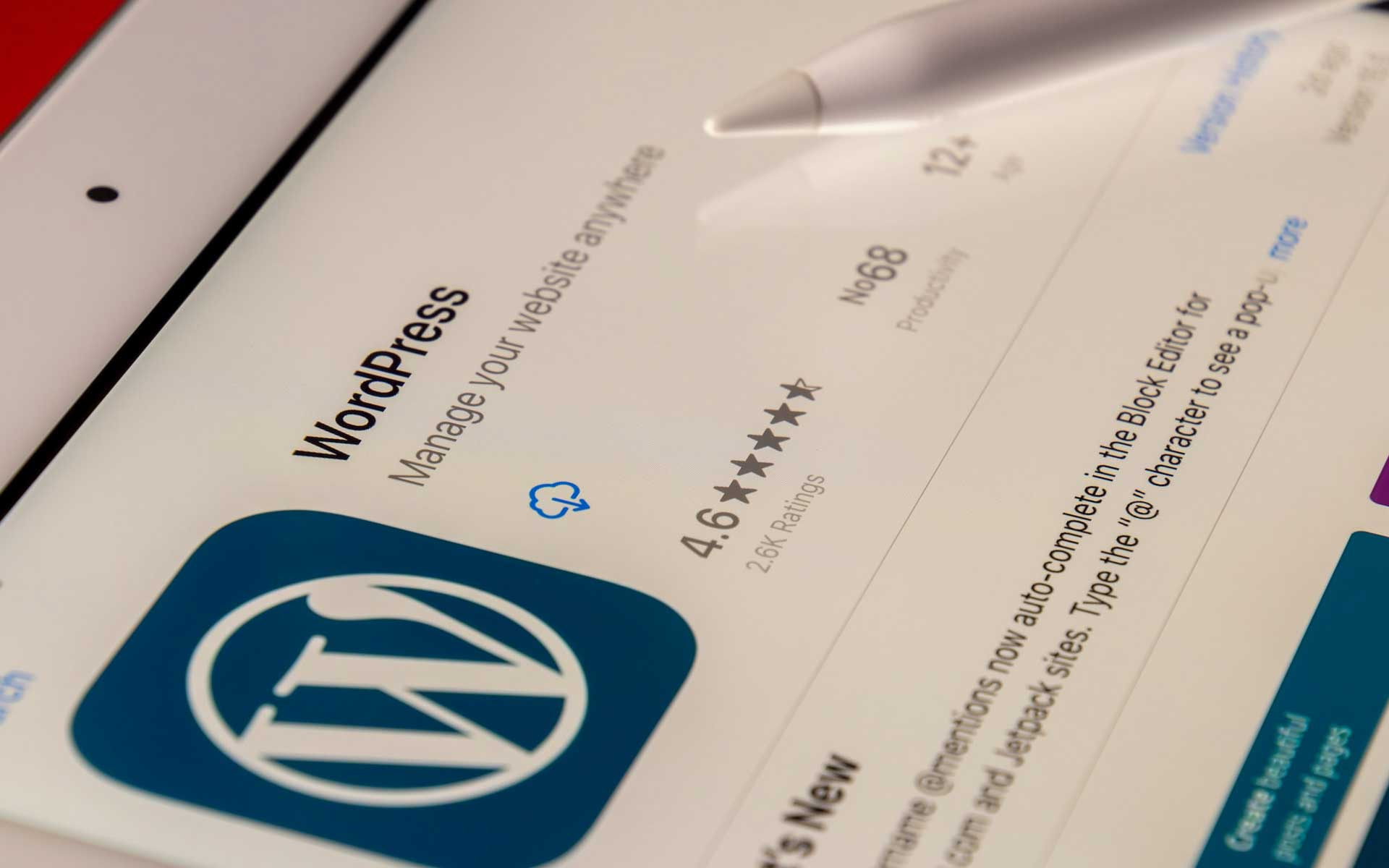  WordPress 